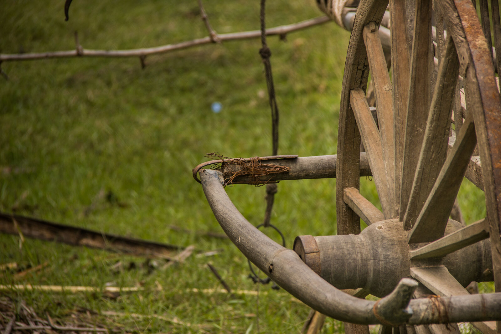 Canon EOS 600D (Rebel EOS T3i / EOS Kiss X5) + Canon EF-S 18-200mm F3.5-5.6 IS sample photo. Big, wheel, cambodia, country photography