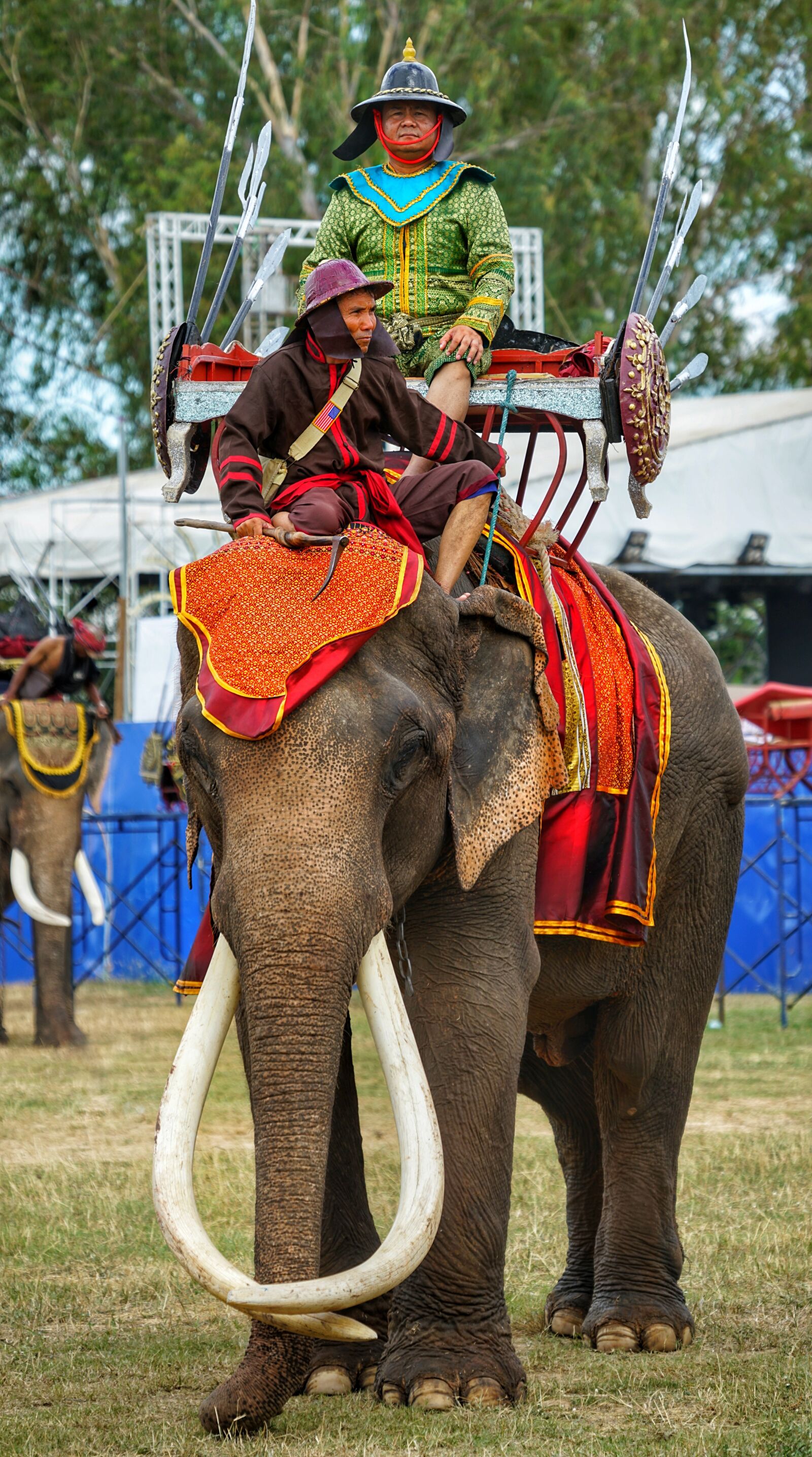 Sony FE 70-300mm F4.5-5.6 G OSS sample photo. Elephant, festival, warrior photography