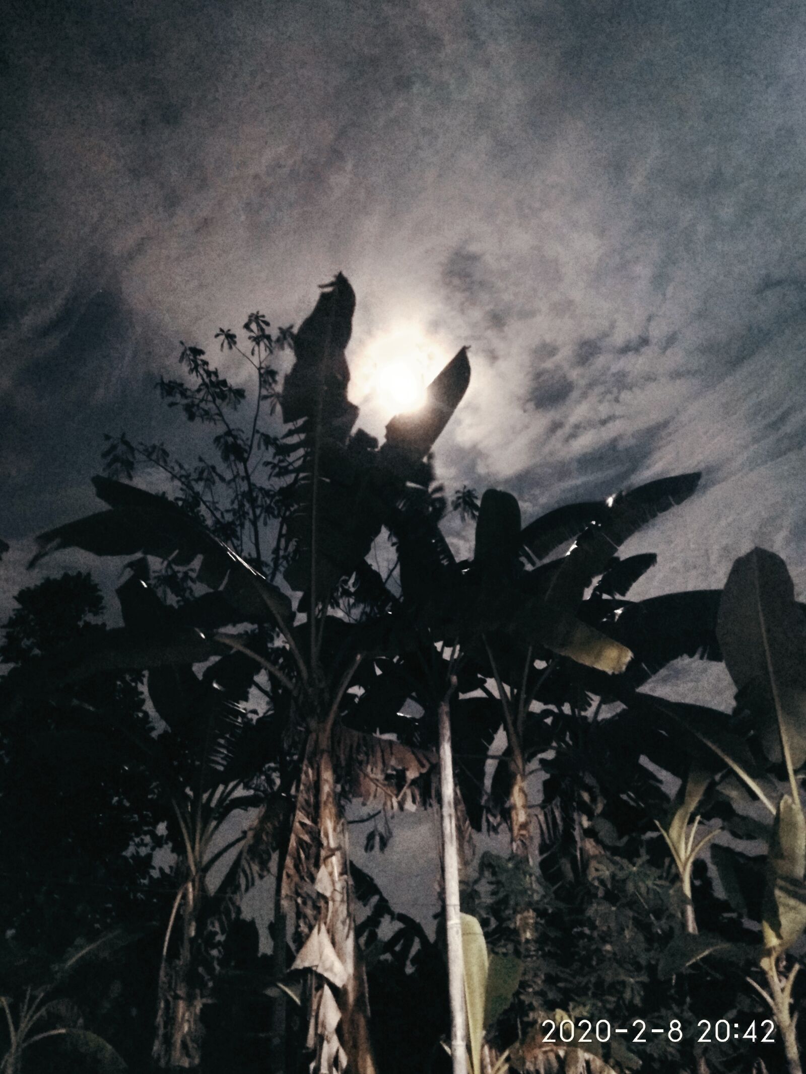 Xiaomi Redmi Note 4 sample photo. Night, today, moon photography