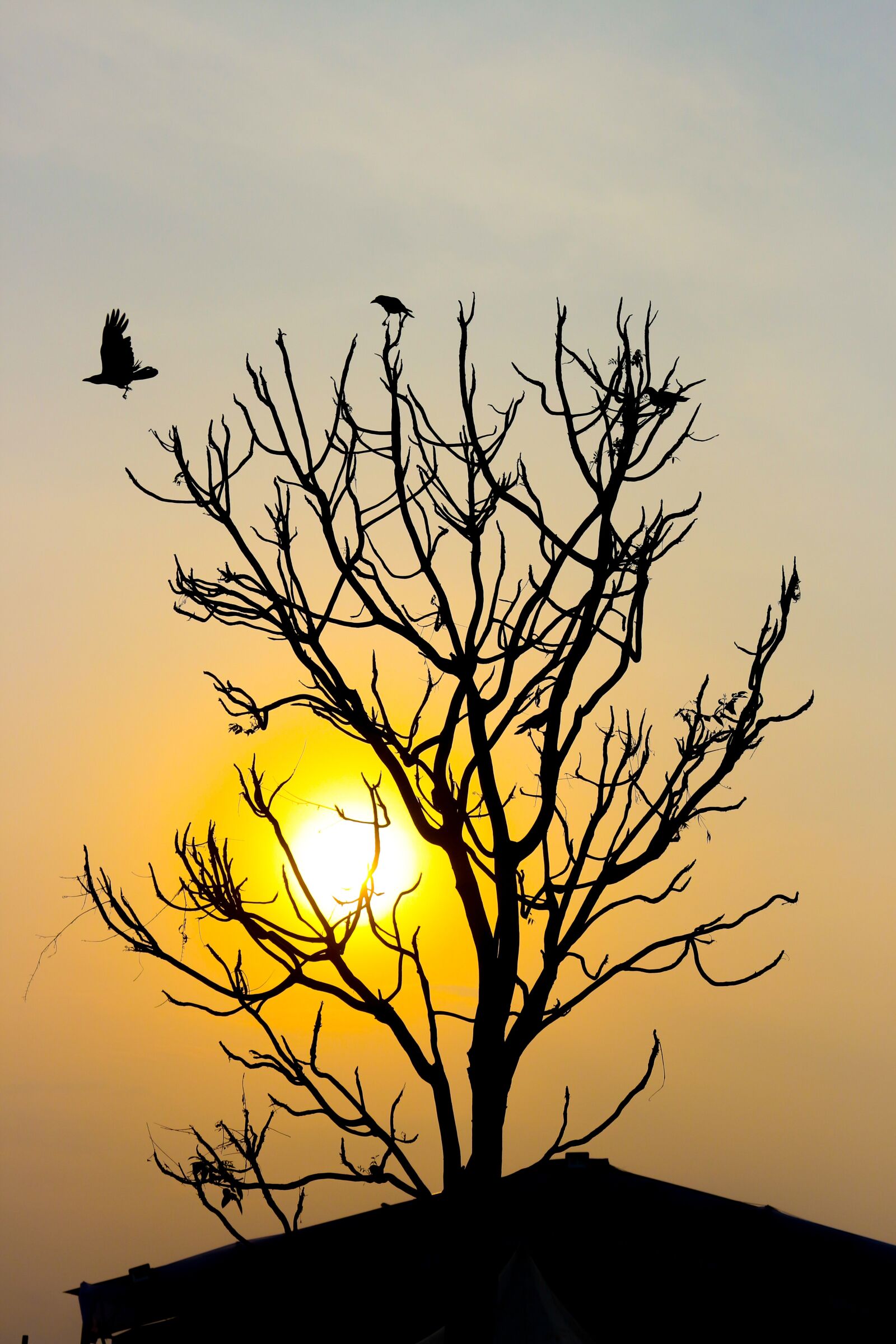 Canon EOS 700D (EOS Rebel T5i / EOS Kiss X7i) sample photo. Sky, seascape, skyline photography