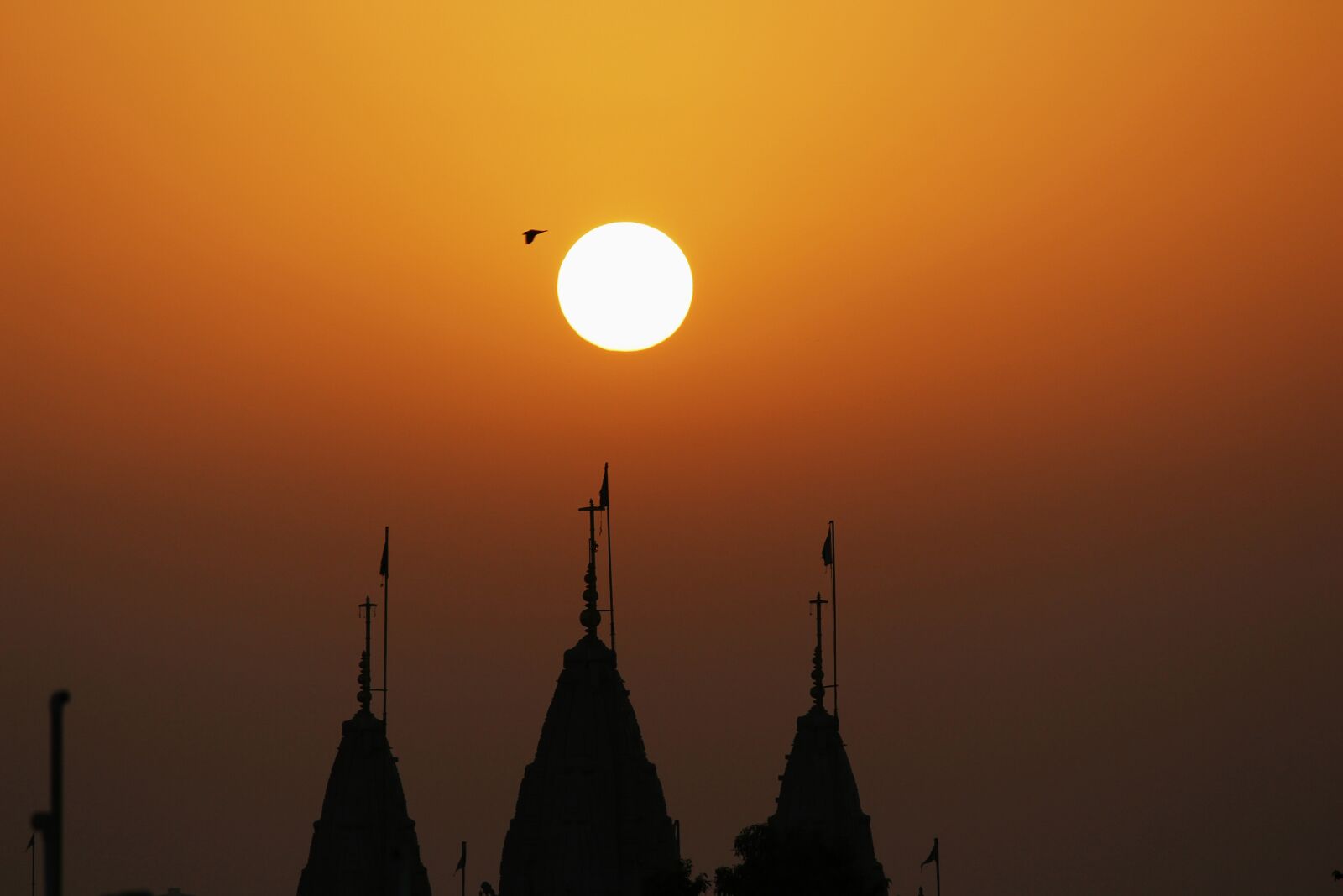 Canon EOS 700D (EOS Rebel T5i / EOS Kiss X7i) sample photo. Sunrise, bird flying, nature photography