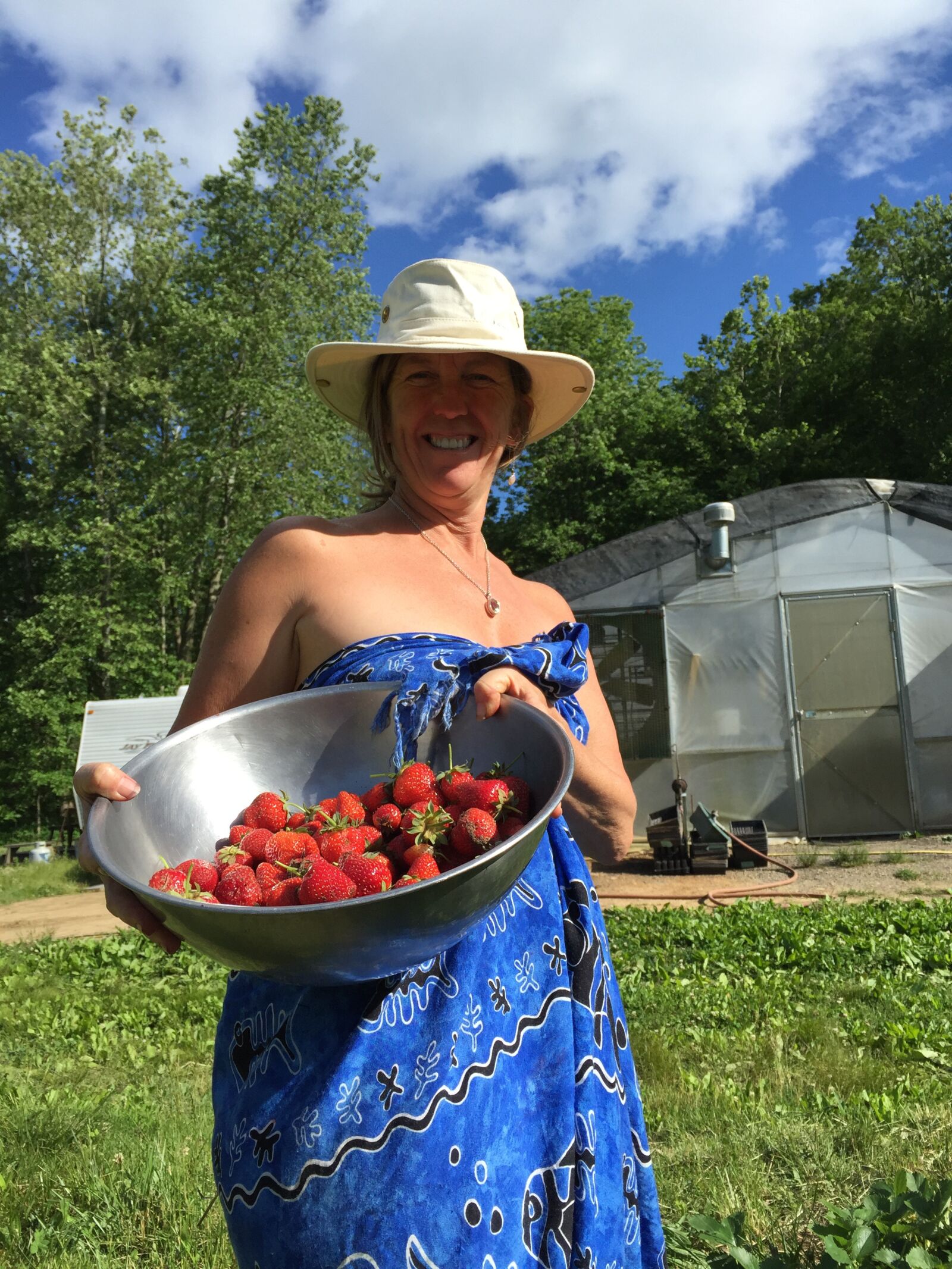 Apple iPhone 6 sample photo. Luscious, yummy, strawberries photography