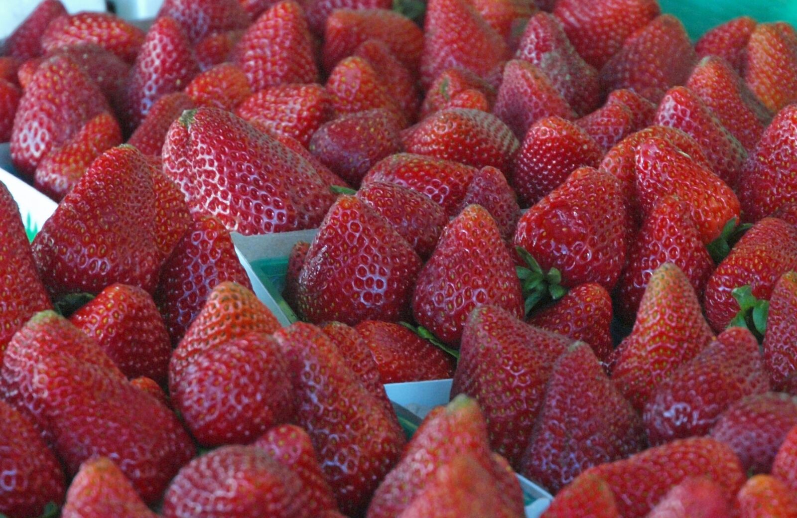 Olympus E-3 sample photo. Fruit, market, food photography