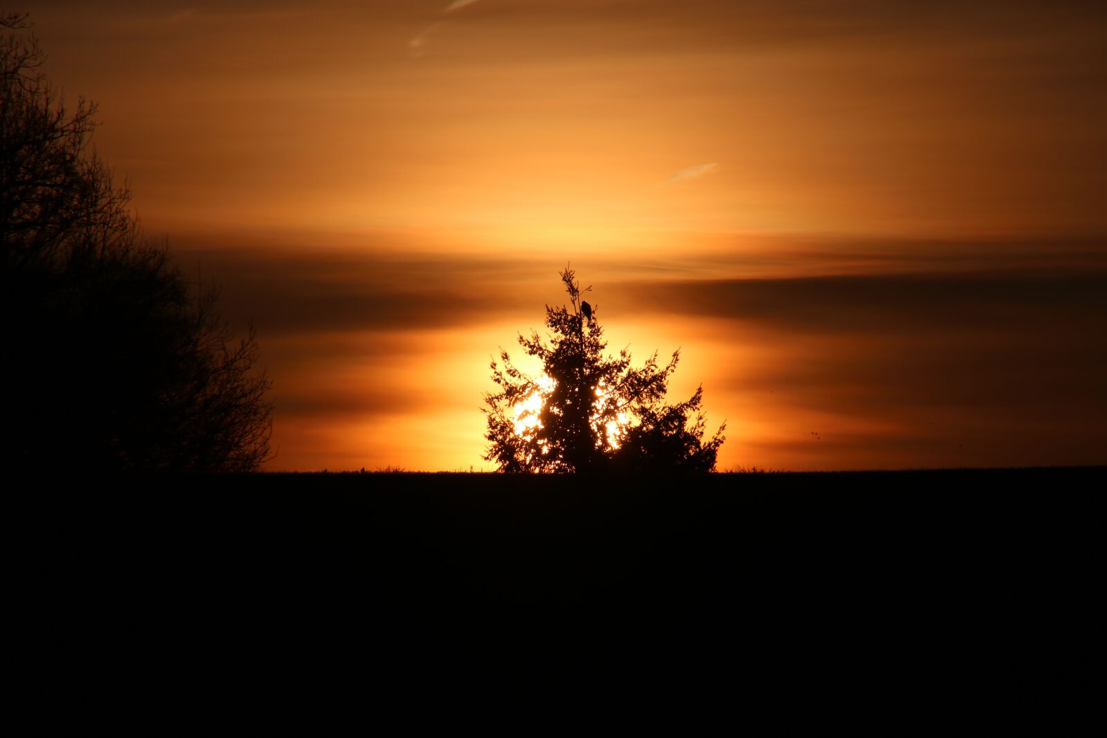 Canon EOS 760D (EOS Rebel T6s / EOS 8000D) sample photo. Morning hour, sunrise, landscape photography