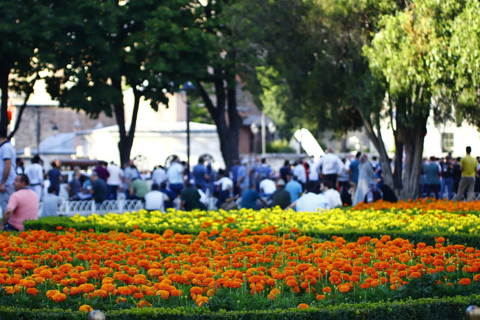 Canon EOS 200D (EOS Rebel SL2 / EOS Kiss X9) sample photo. Cami, ramadan, religion photography