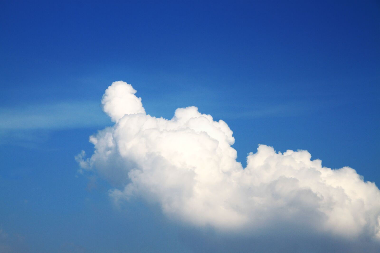 Canon EOS 500D (EOS Rebel T1i / EOS Kiss X3) sample photo. Nature, sky, fluff photography