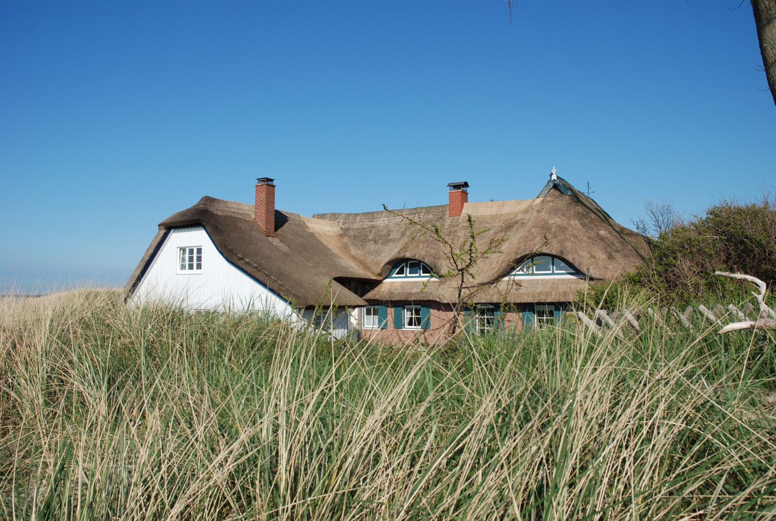 Nikon D80 sample photo. Ahrenshoop, darss, reed photography