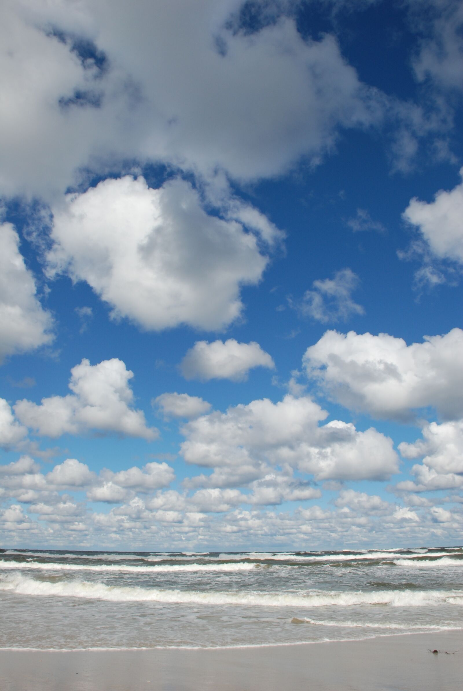 Nikon D80 sample photo. Sea, nature, holidays photography