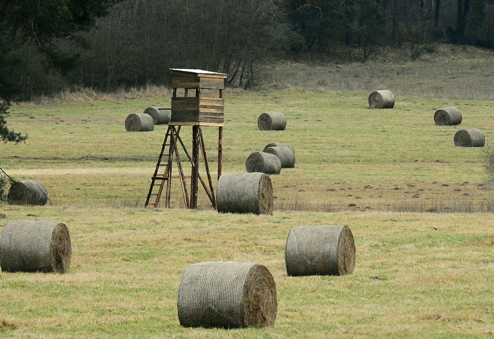 Nikon Coolpix P900 sample photo. Farm, field, landscape photography