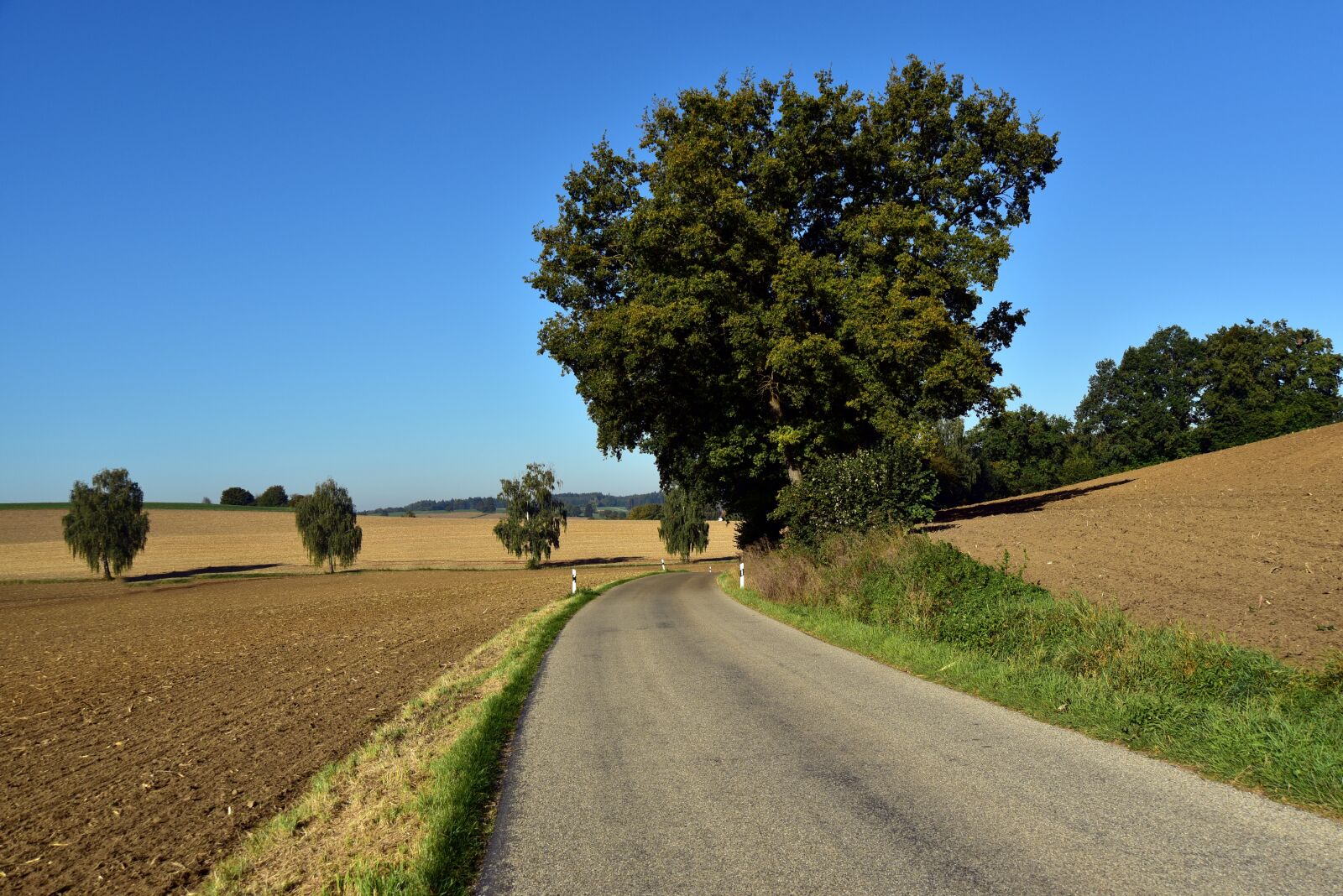 Nikon D750 sample photo. Road, landscape, nature photography