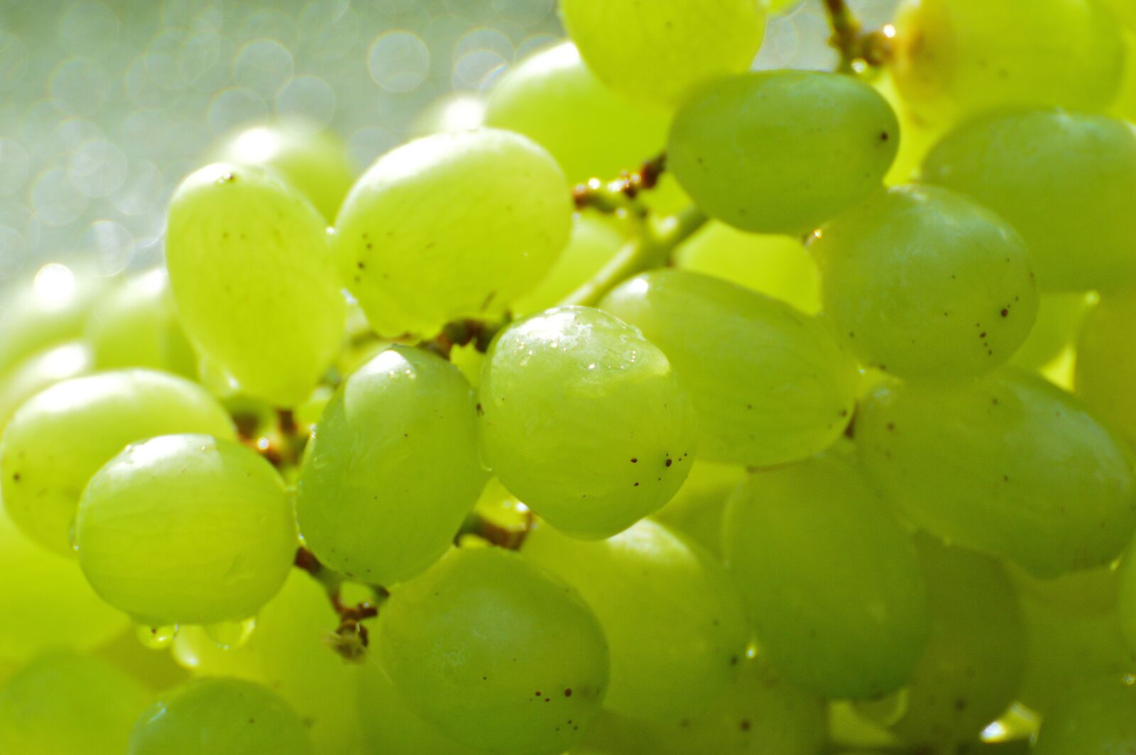 Nikon D3200 sample photo. Grapes, fruits, healthy photography