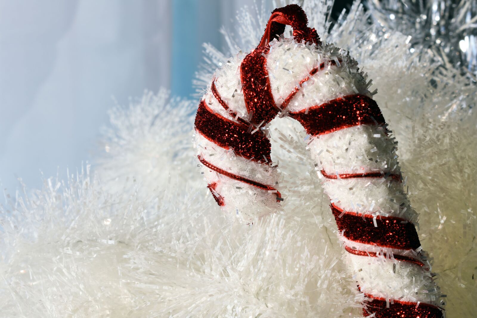 Nikon D3400 sample photo. Christmas, joy, winter time photography