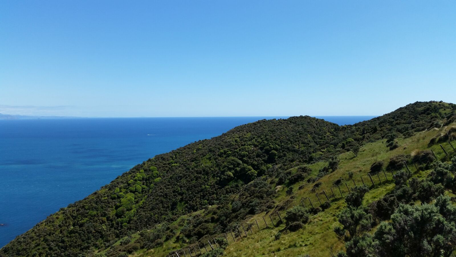 Samsung Galaxy S5 sample photo. Makara, wellington, sea photography