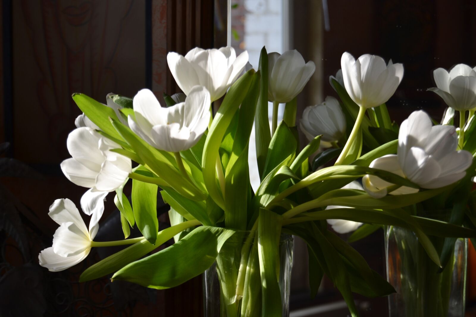 Nikon D3100 sample photo. Flowers, tulips, white photography