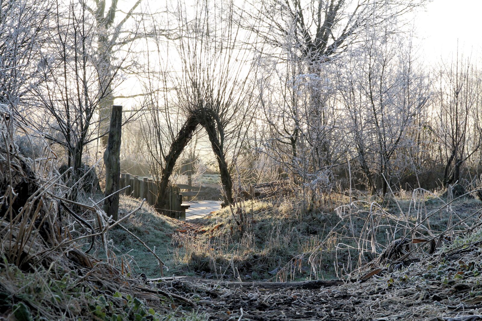 Canon EOS 7D sample photo. Netherlands, however, winter photography