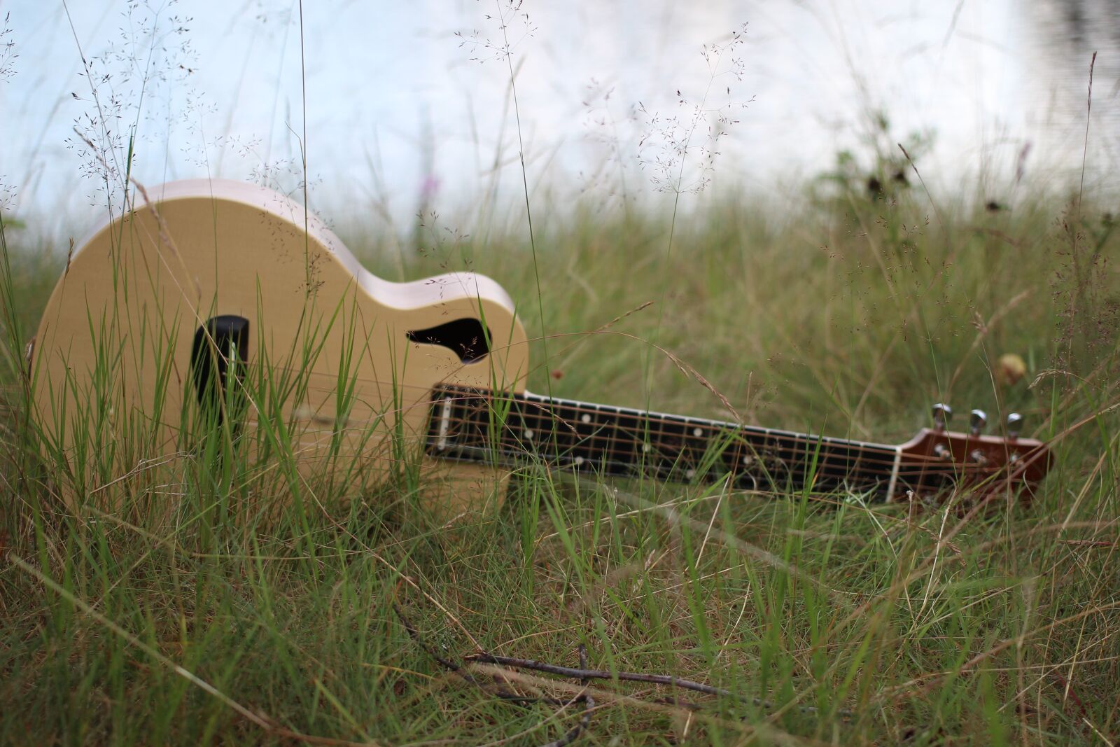 Canon EOS 600D (Rebel EOS T3i / EOS Kiss X5) + Canon EF 40mm F2.8 STM sample photo. Guitar, grass, wp strings photography
