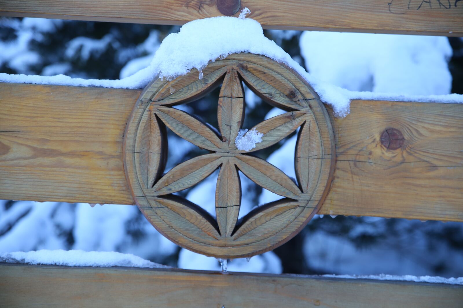 Canon EOS 6D sample photo. Buried, wood, the art photography