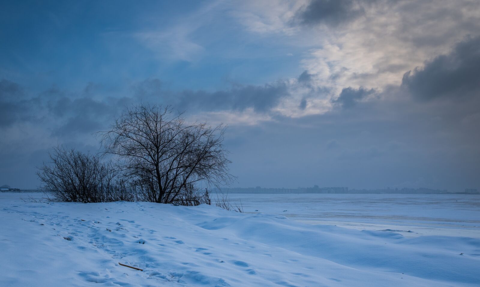 Sony a7R II + Canon EF 24-70mm F2.8L II USM sample photo. Winter, snow, nature photography