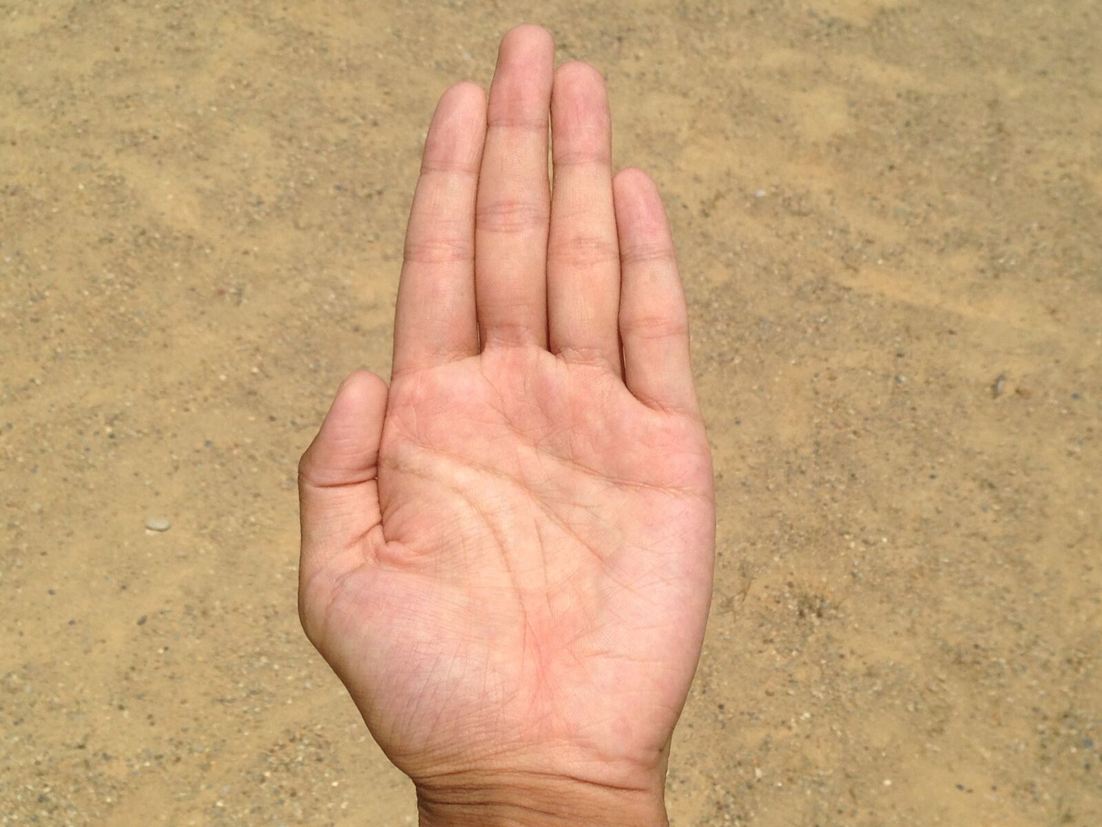 iPhone 5 back camera 4.12mm f/2.4 sample photo. Palm, hand, finger photography