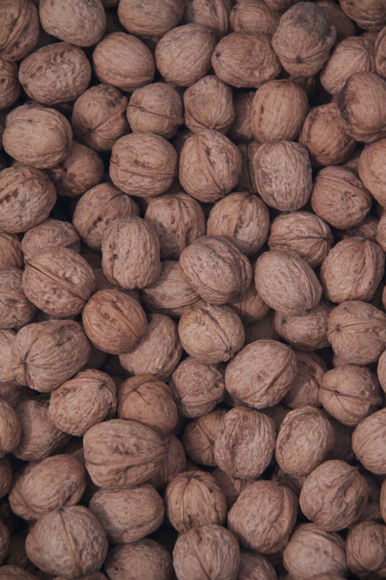 Canon EOS 550D (EOS Rebel T2i / EOS Kiss X4) sample photo. Nuts, nut, food photography