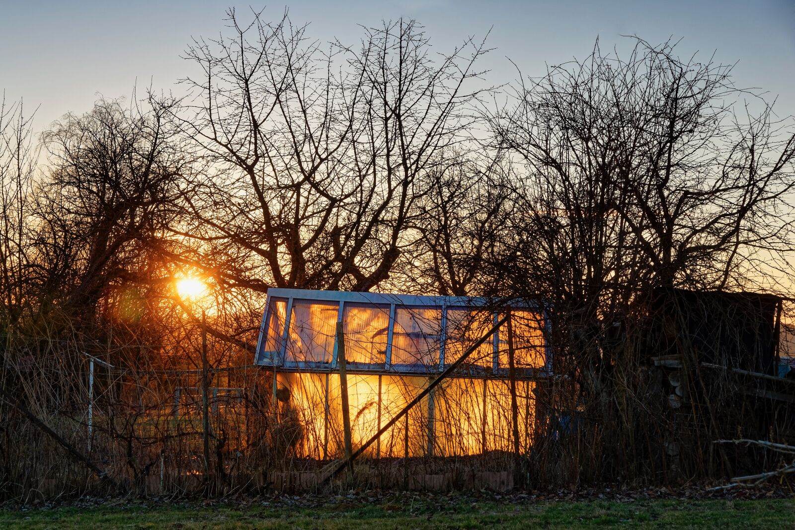 Sony SLT-A77 sample photo. Glass house, fire, brand photography