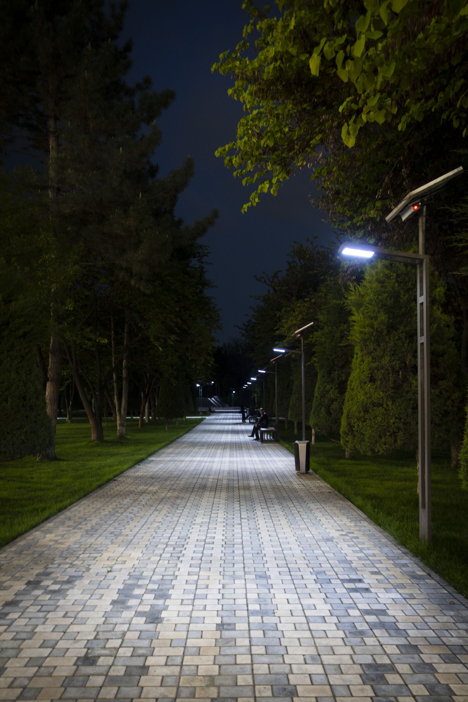 Canon PowerShot G9 X Mark II sample photo. Alley, street lights, park photography