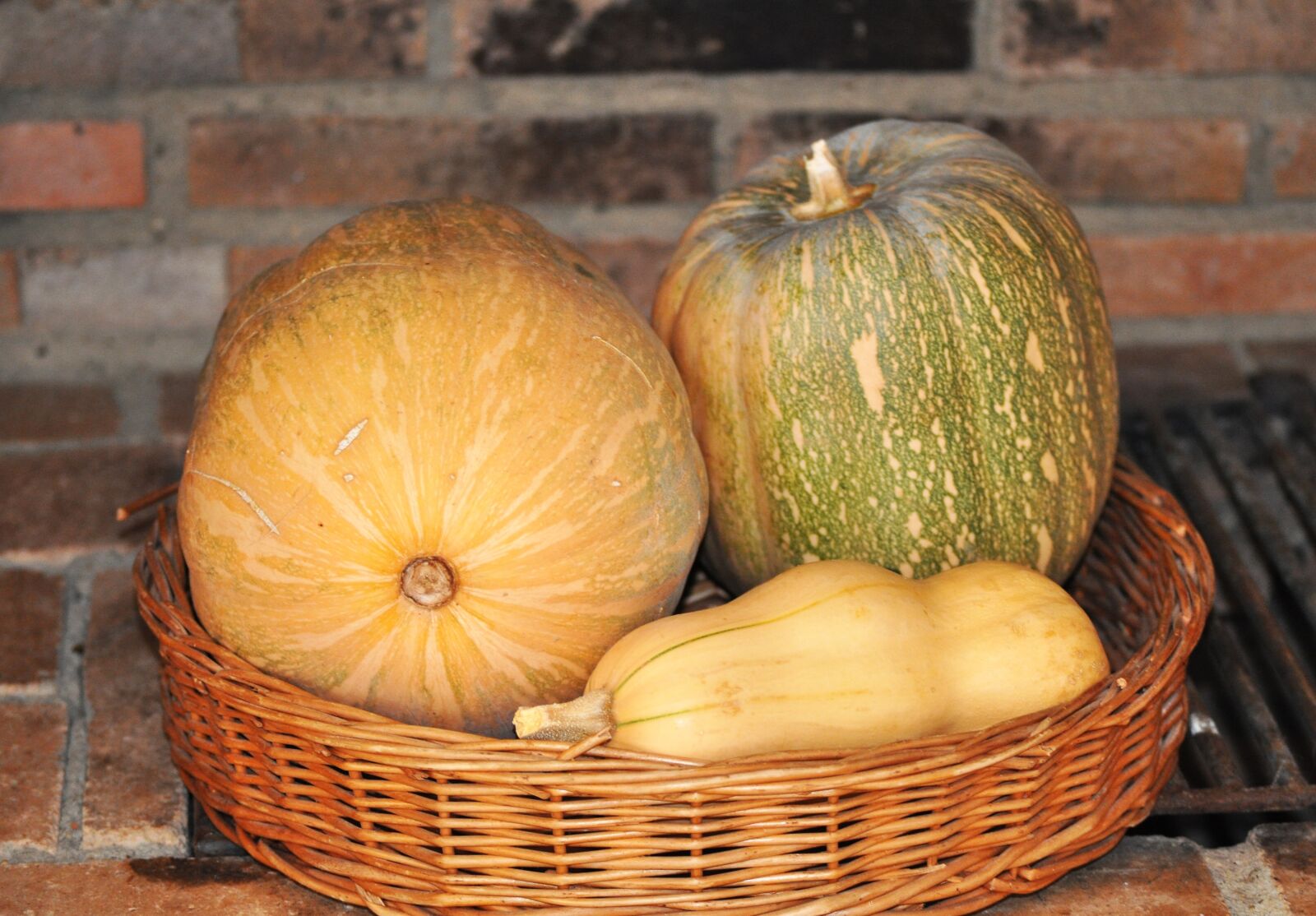 Nikon D5000 sample photo. Still life, pumpkins, harvest photography