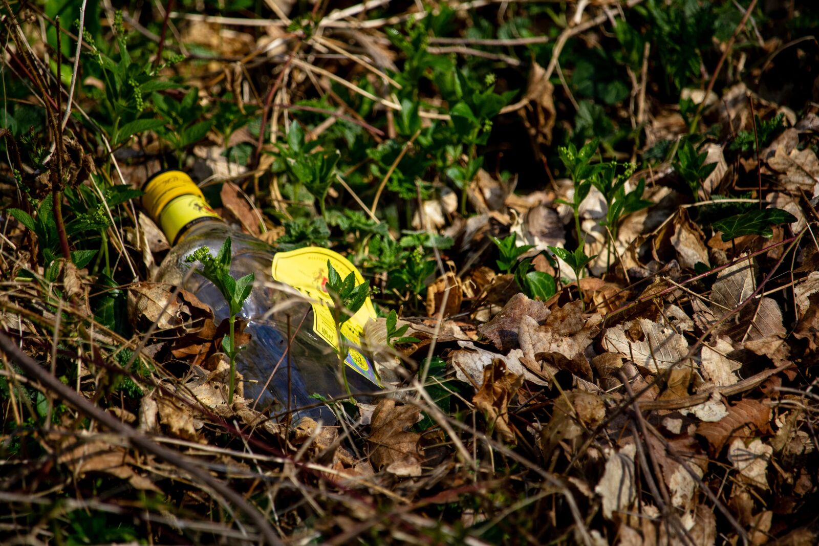 Canon EF-S 55-250mm F4-5.6 IS STM sample photo. Pollution, sustainable development, glass photography