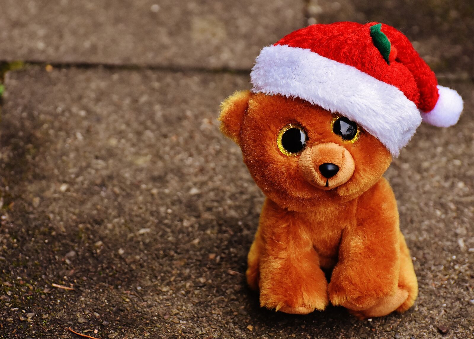 Nikon D7200 sample photo. Christmas, teddy, bear photography