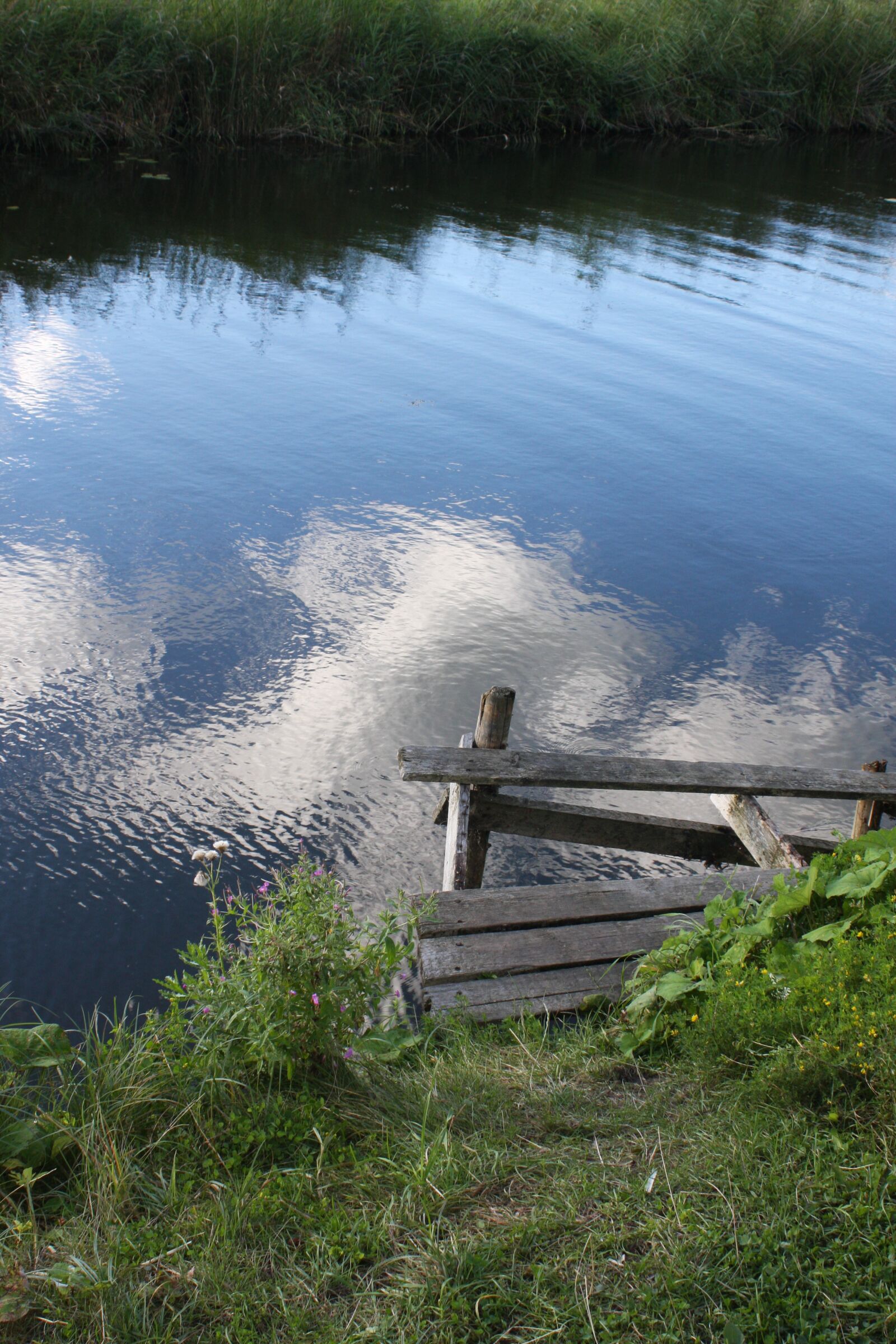 Canon EOS 40D sample photo. Web, water, lake photography
