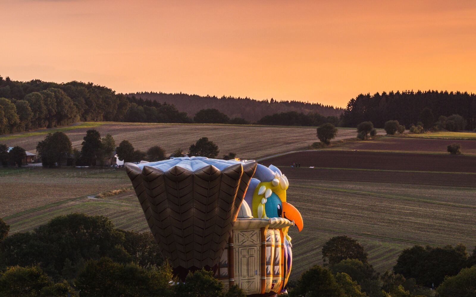 Canon EOS M100 sample photo. Hot air balloon, montgolfiade photography