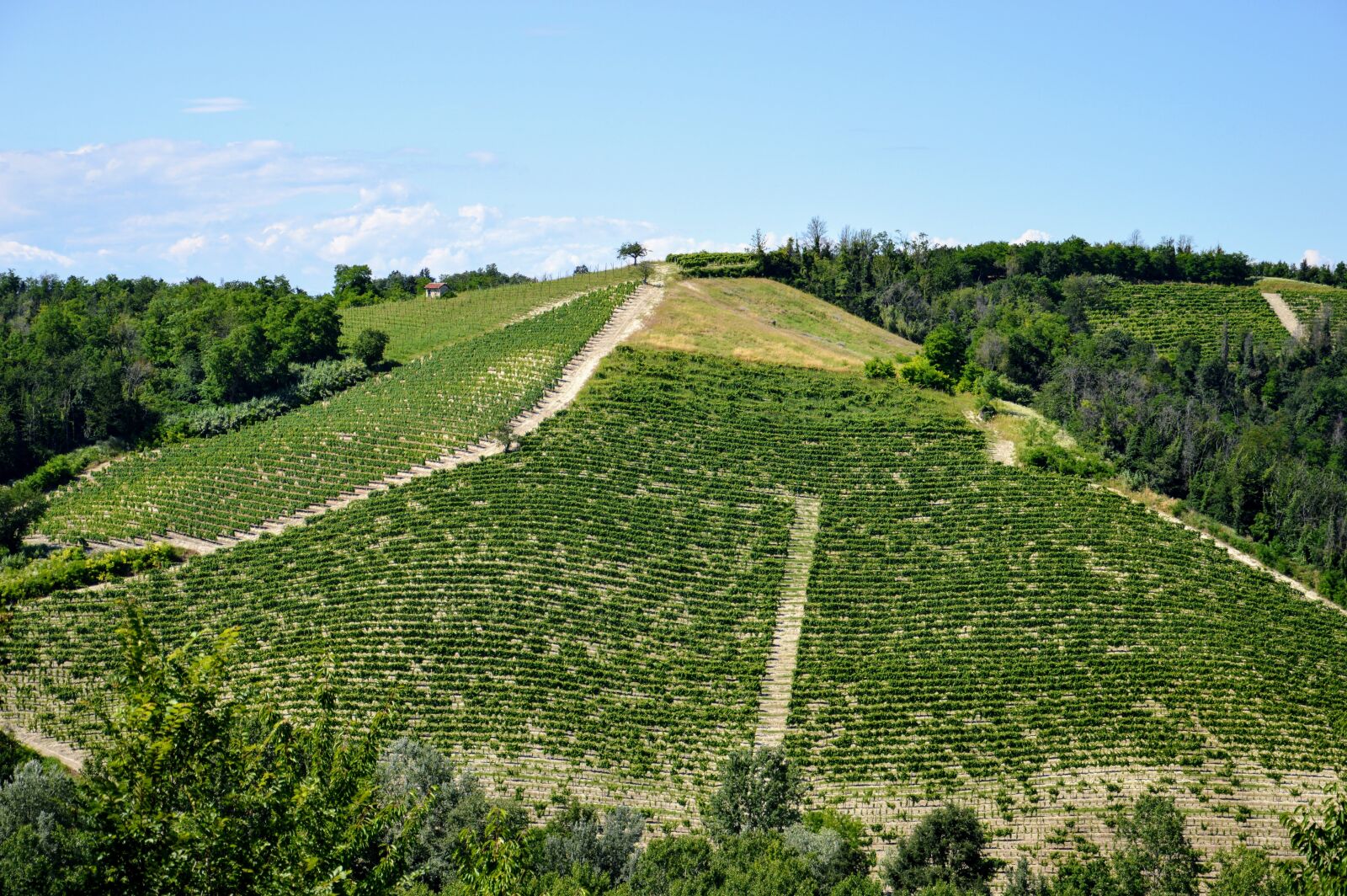 Nikon D3200 sample photo. Hills, tuff, ottiglio photography