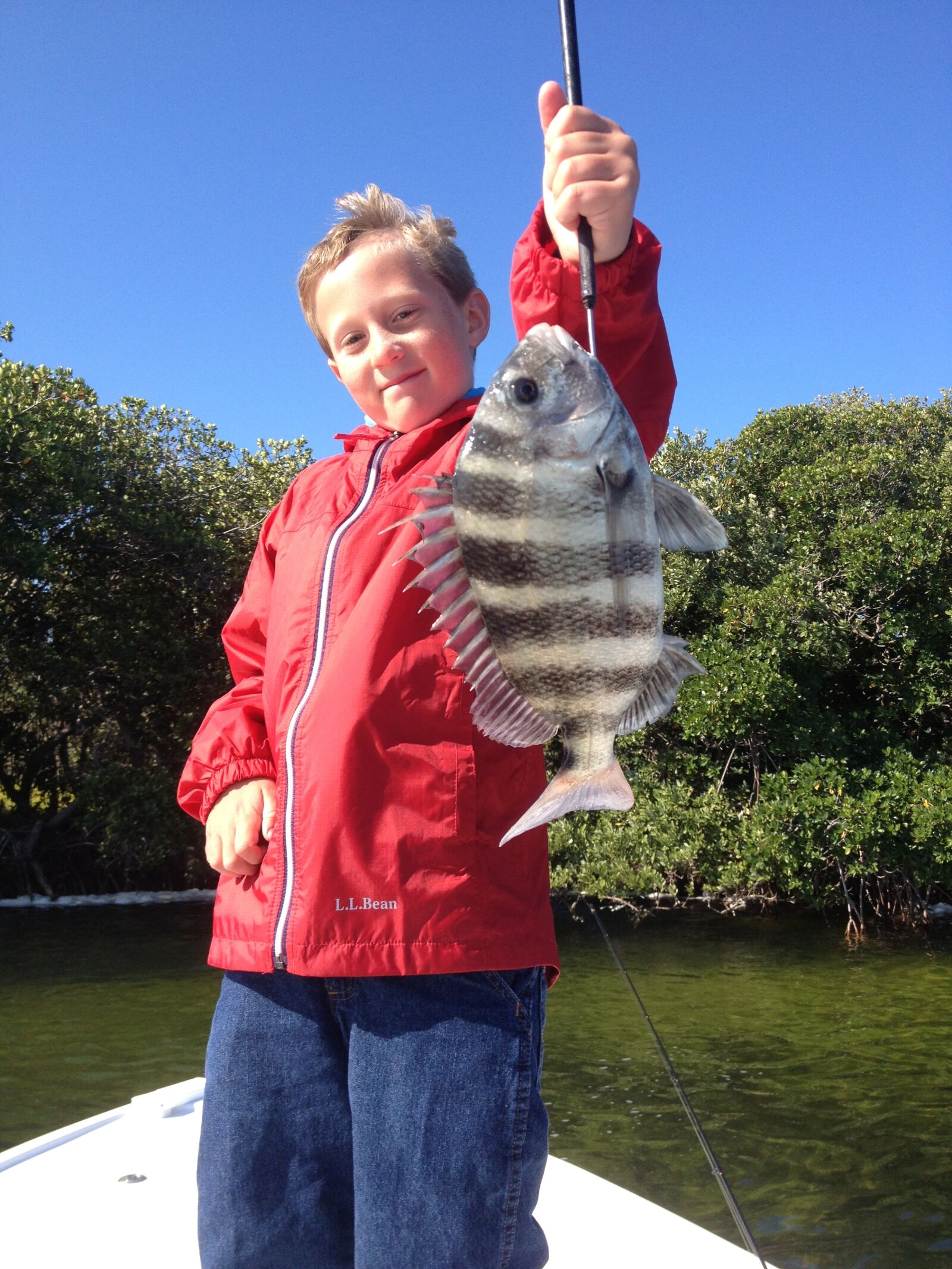 Apple iPhone 4S sample photo. Fish photography