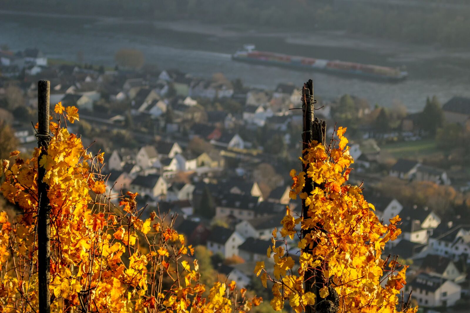 Canon EOS 60D sample photo. Autumn, nature, landscape photography