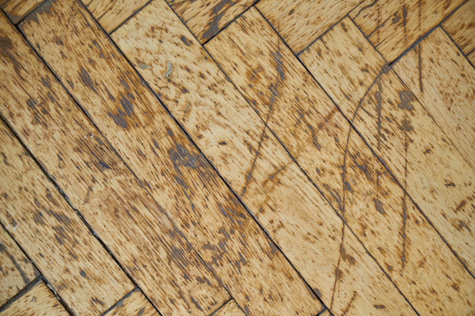 Sony a7R II sample photo. Wood, table, parquet photography