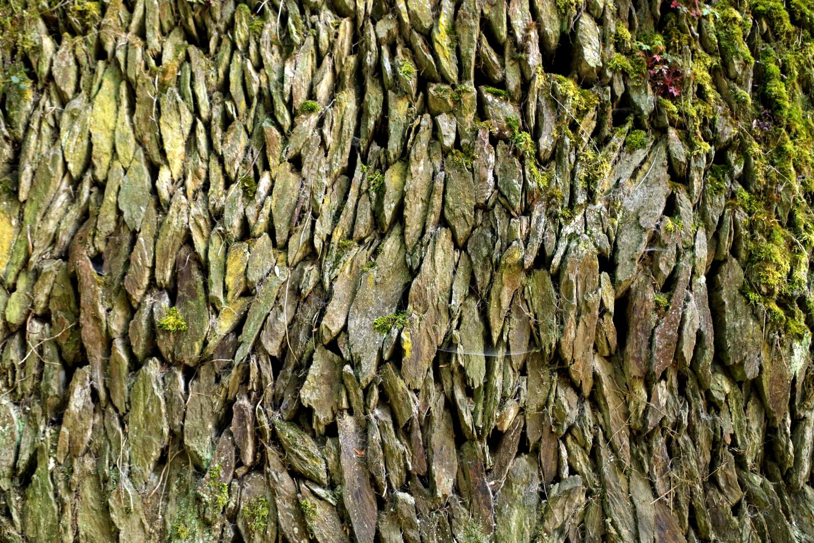 Pentax K-30 sample photo. Rock, structure, surface photography