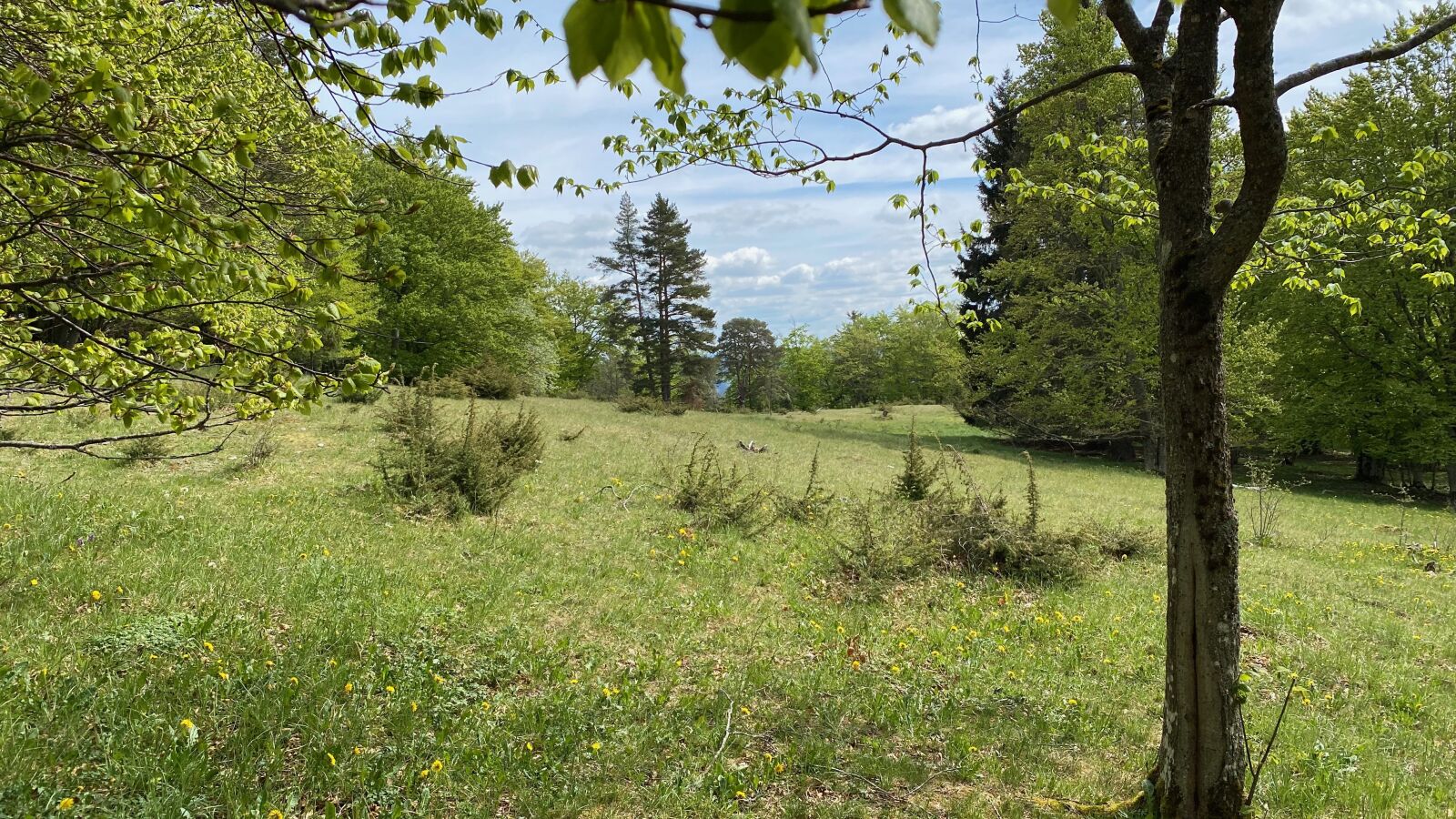 Apple iPhone 11 Pro sample photo. Sky, landscape, nature photography