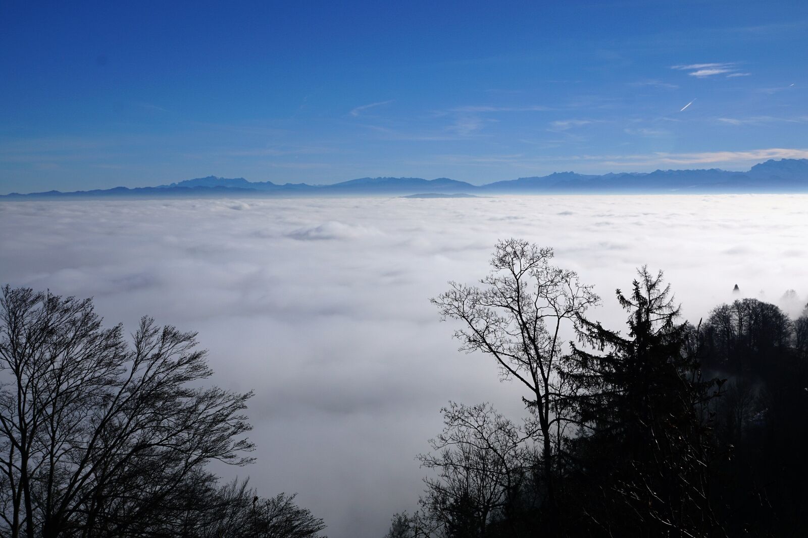 Sony ILCA-77M2 + Sony DT 16-50mm F2.8 SSM sample photo. Fog, sky, nature photography