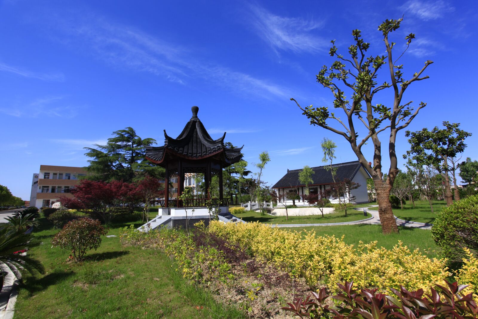 Canon EOS 5D Mark II sample photo. Garden, lawn, campus photography