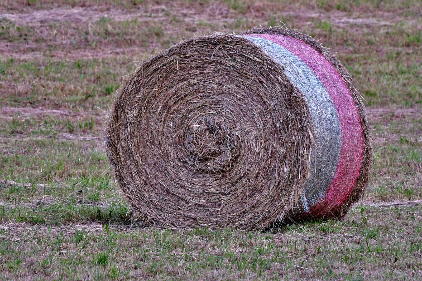 Nikon D500 sample photo. Hay bale, harvest, grass photography