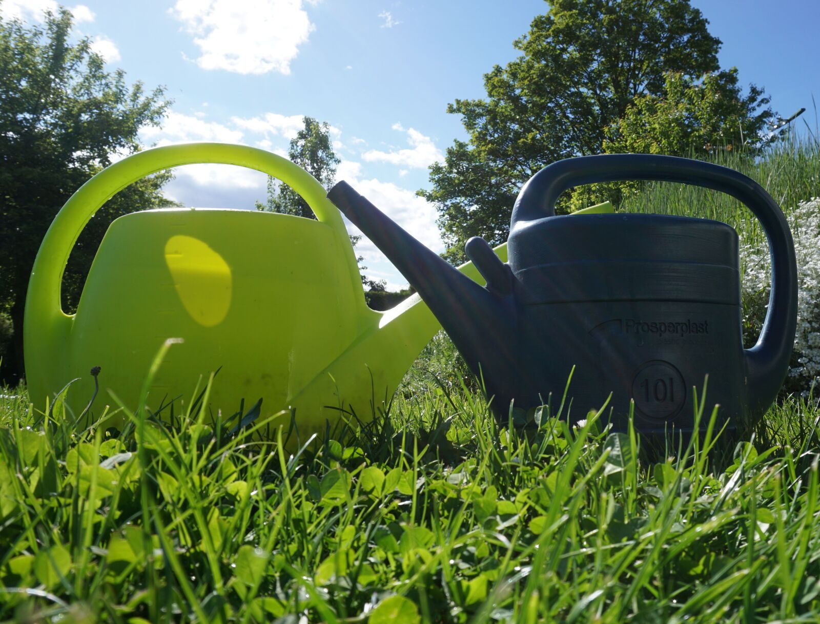 Sony a6000 sample photo. Watering cans, water, garden photography