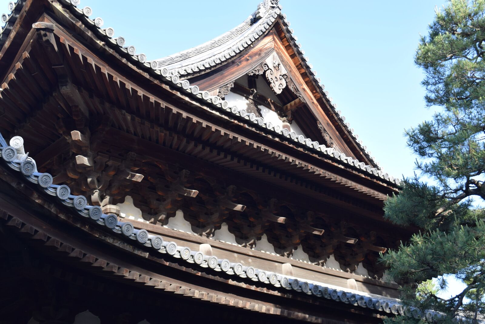 Nikon D3300 sample photo. Kyoto photography