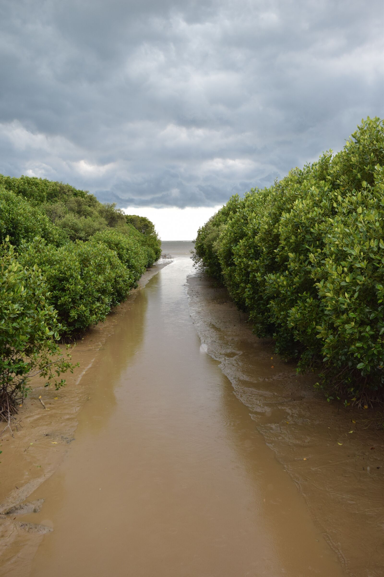 Nikon D3300 sample photo. Mangrove forest, water recreation photography