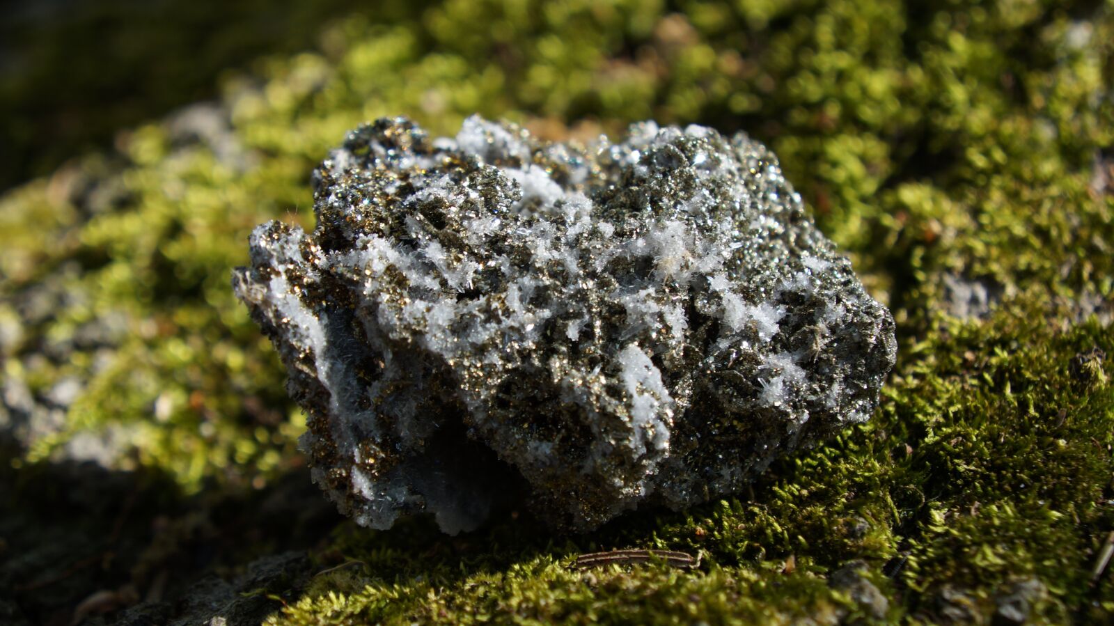 Sony Alpha a3000 + Sony E 18-55mm F3.5-5.6 OSS sample photo. Nature, rock, moss photography