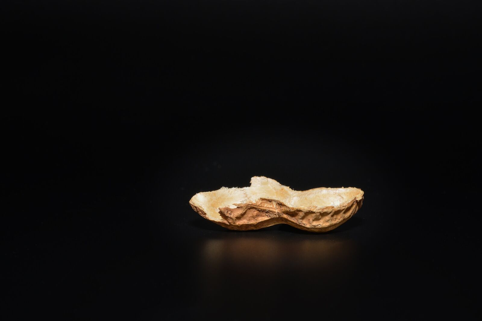 Nikon D7100 sample photo. Peanut, peanut shell, nutshell photography
