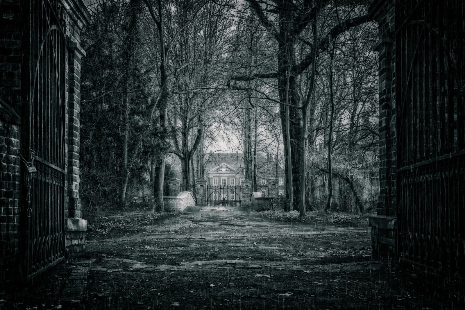 Nikon D3300 sample photo. Night, forest, park photography