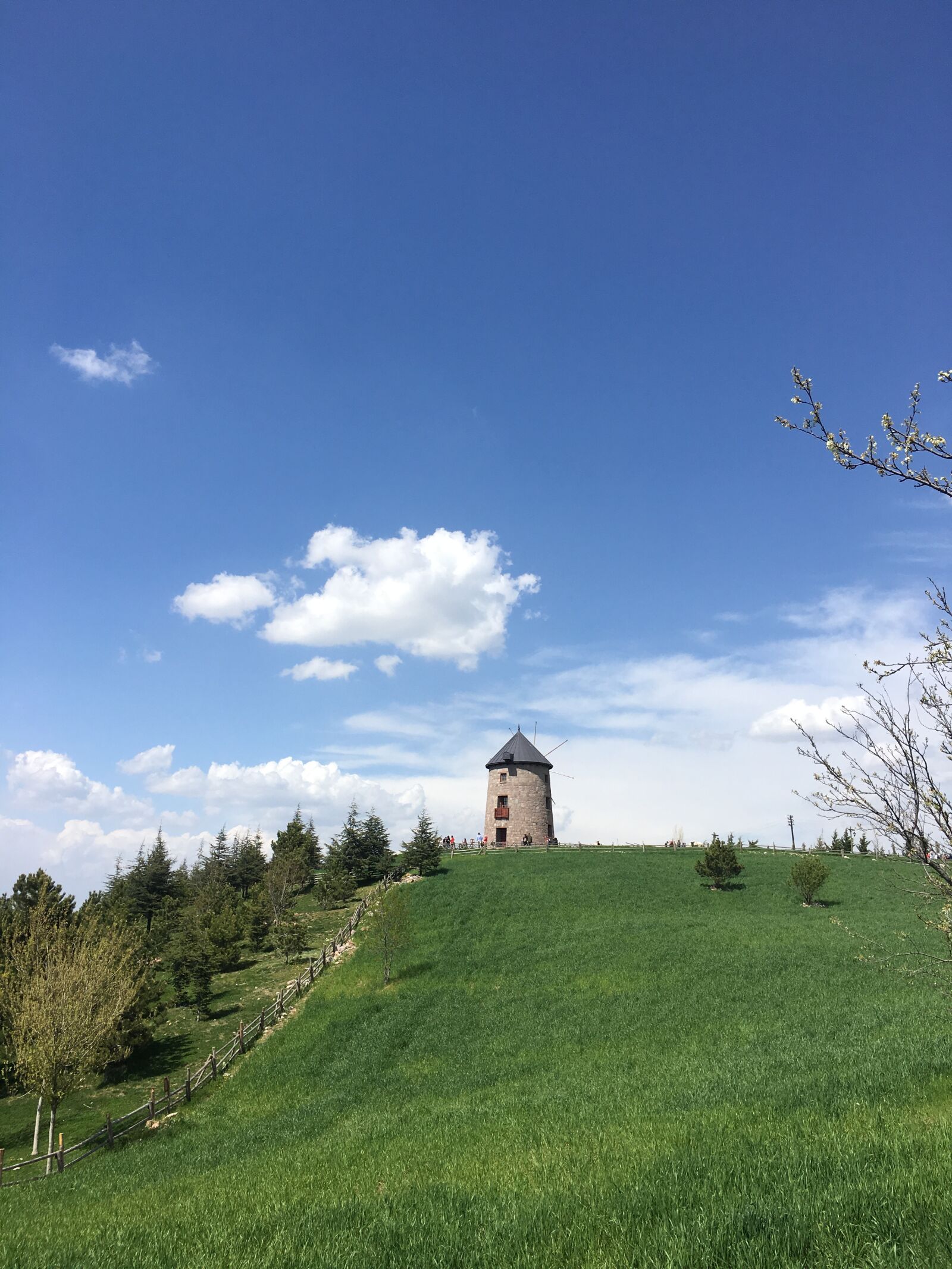 Apple iPhone 6s sample photo. Water mill in nature photography