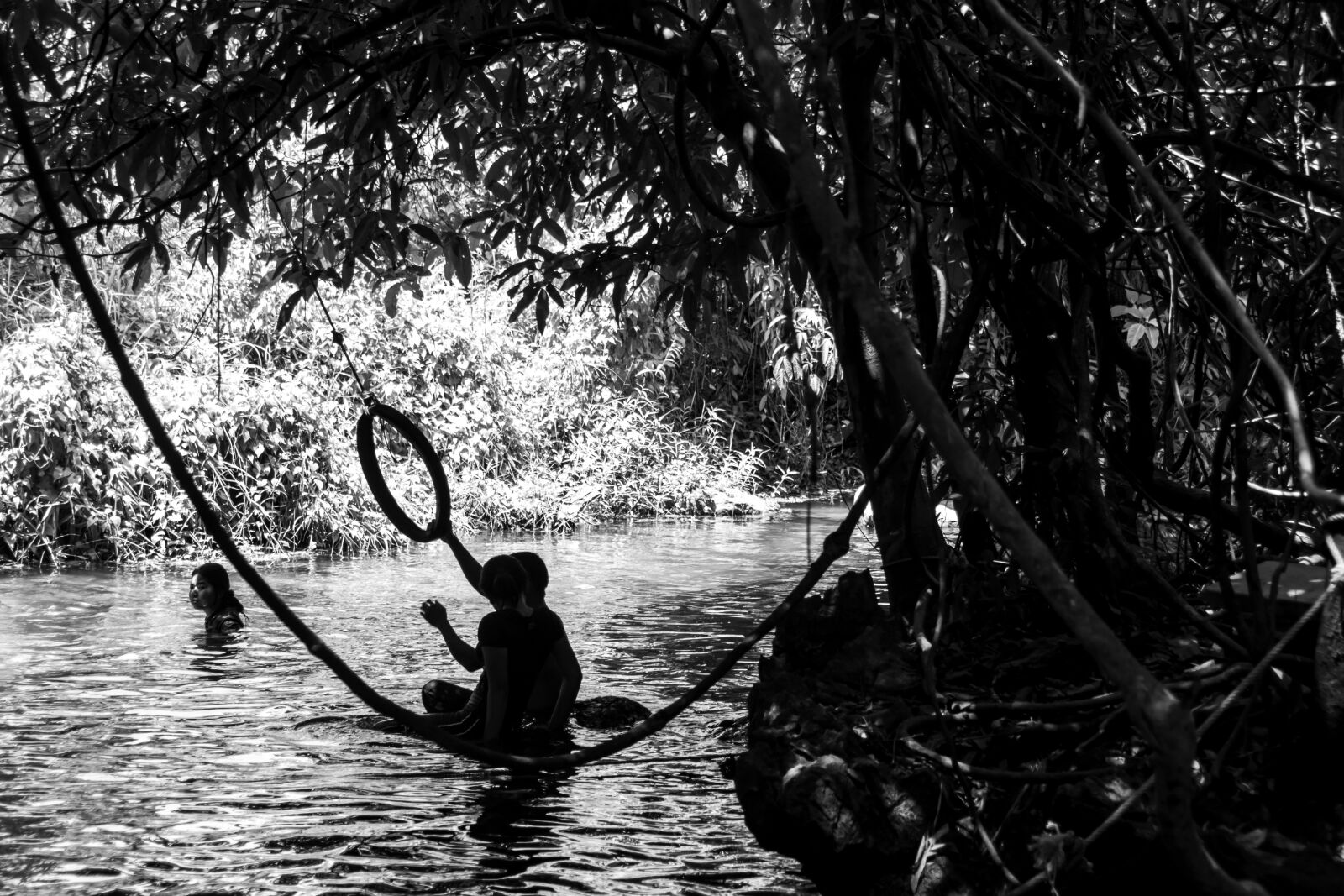 Nikon D5600 sample photo. River, wild, life photography