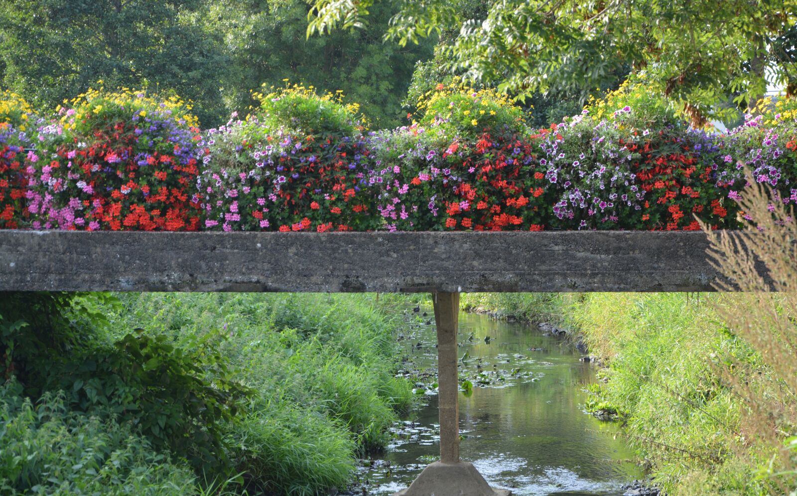 Nikon D5200 sample photo. Bridge fleuri, river the photography