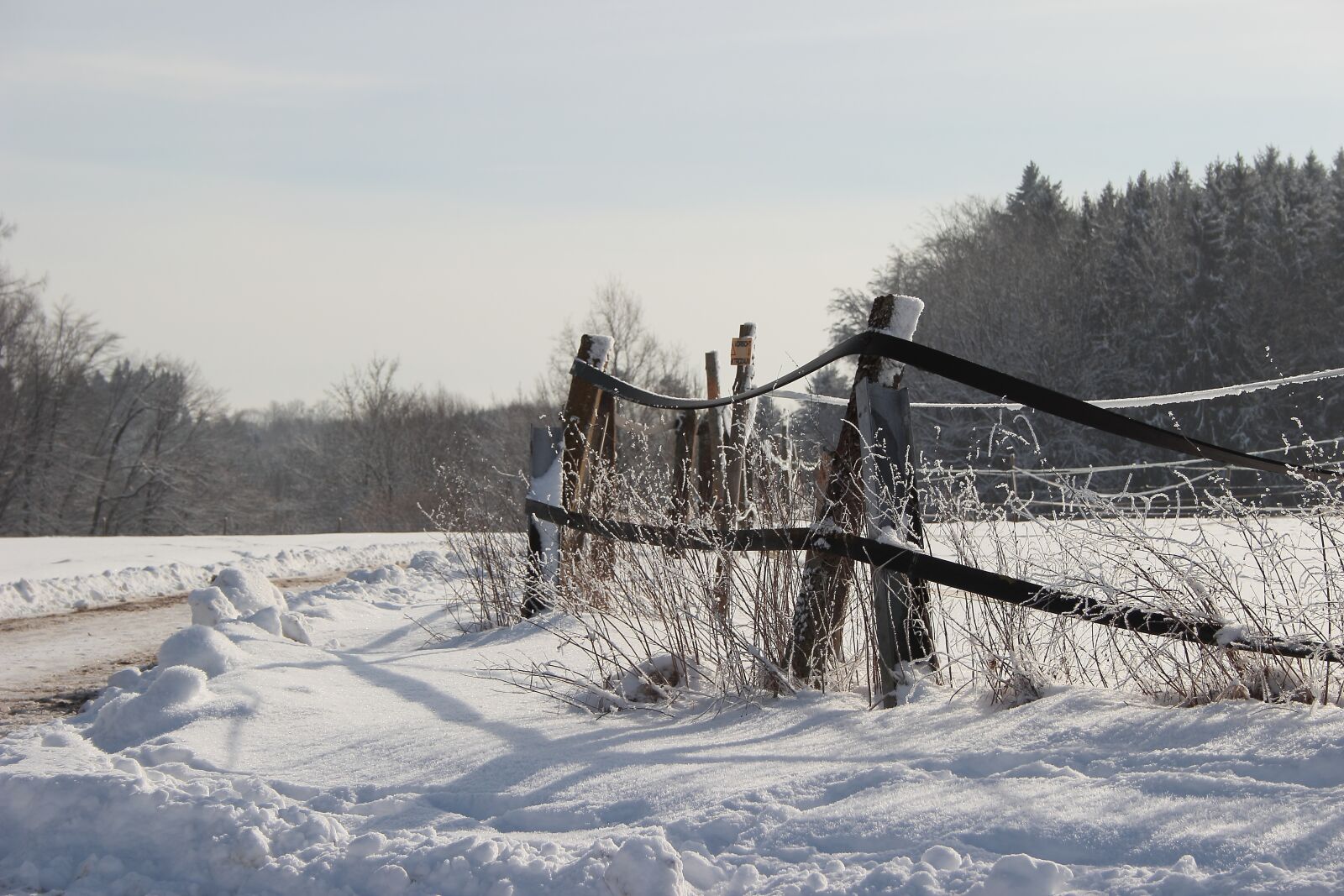 Canon EF-S 18-55mm F3.5-5.6 II sample photo. Winter, snow, wintry photography